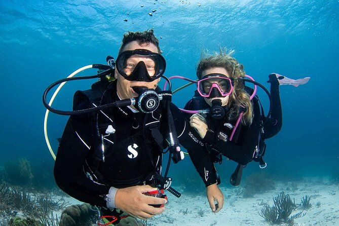 guided-shore-diving-in-bonaire-marine-park-with-2-dives