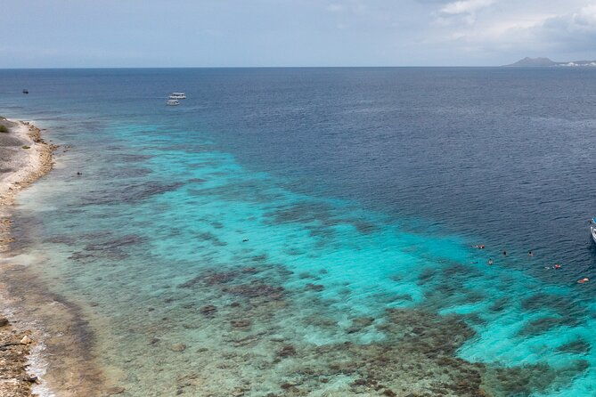 guided-shore-diving-in-bonaire-marine-park-with-2-dives