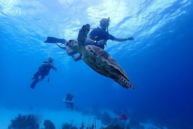 guided-shore-diving-in-bonaire-marine-park-with-2-dives