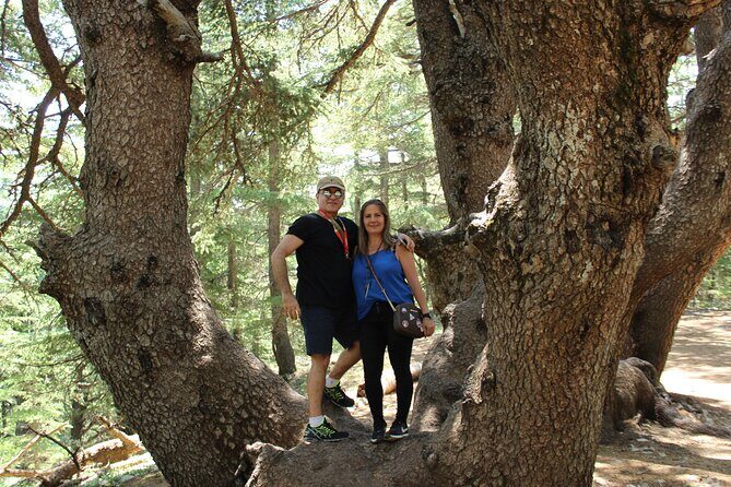 Guided small group to Cedars Reserve & Beiteddine w/lunch+entries - FAQ