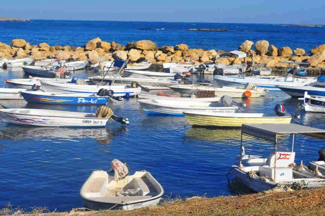 Guided Small-Group Tour to Tripoli and Batroun with Lunch - Key Points
