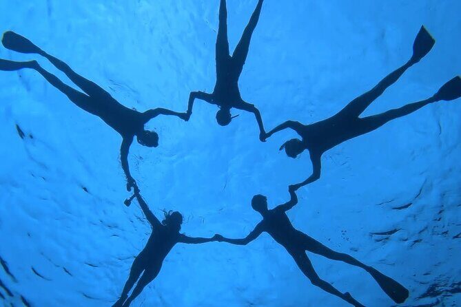 Guided Small Group Whale Watching and Swim Tour Tahiti - Final Thoughts: Who Will Appreciate This Tour?
