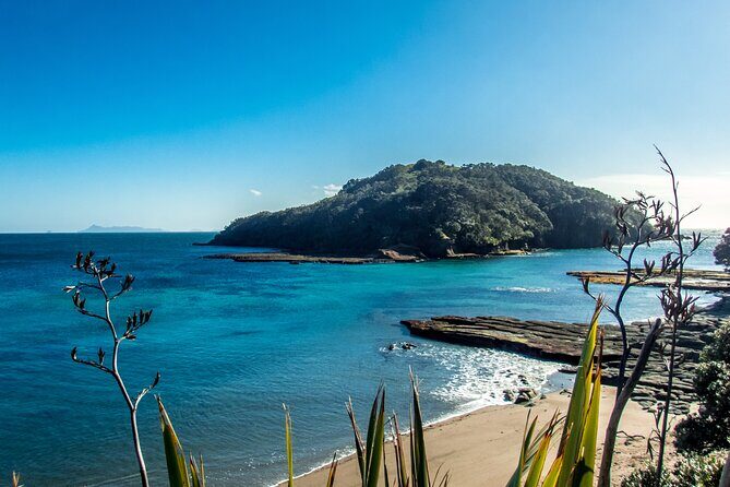 Guided Snorkel Experience, Advanced - Authentic Experiences & Tips from Reviewers