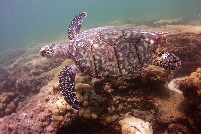 guided-snorkel-experience-in-fort-lauderdale-2