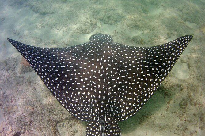 guided-snorkel-experience-in-fort-lauderdale-2
