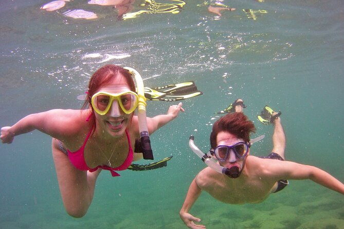 guided-snorkel-experience-in-fort-lauderdale-2