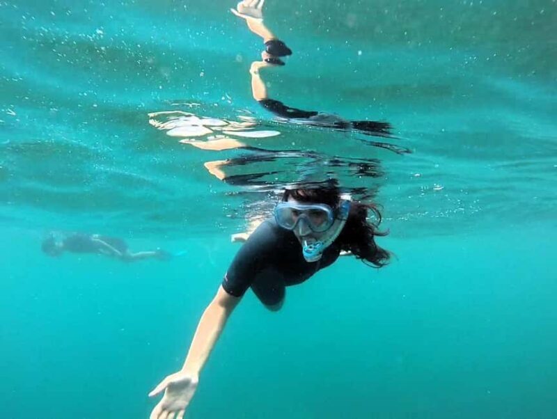 Guided snorkel in Cambrils with explanation of the marine environment. - What to Expect from the Cambrils Snorkeling Tour