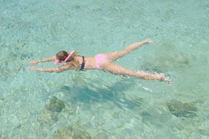 guided-snorkel-tour-at-the-best-reef-from-shore-on-curacao-blue-bay-beach