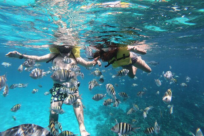 guided-snorkeling-adventure-in-west-bay