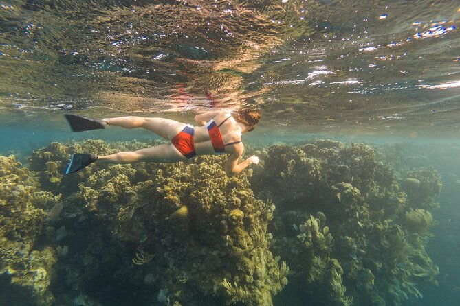 guided-snorkeling-adventure-in-west-bay