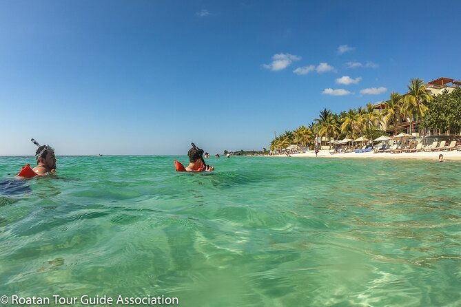 guided-snorkeling-adventure-in-west-bay