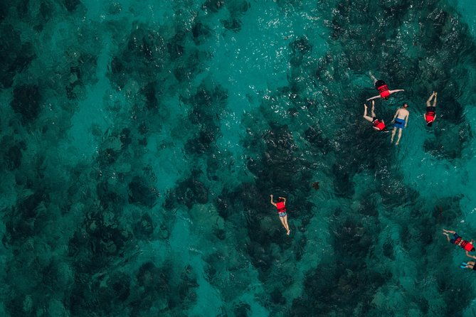 guided-snorkeling-adventure-in-west-bay