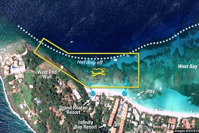 guided-snorkeling-adventure-in-west-bay