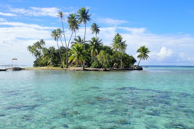 Guided Snorkeling and Relaxation on the Motu Ofetaro in Raiatea - A Complete Look at Guided Snorkeling and Relaxation on the Motu Ofetaro