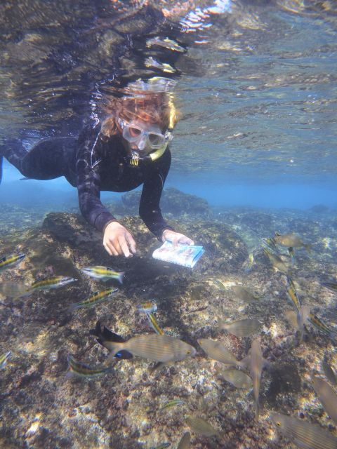 guided-snorkeling-experience-2