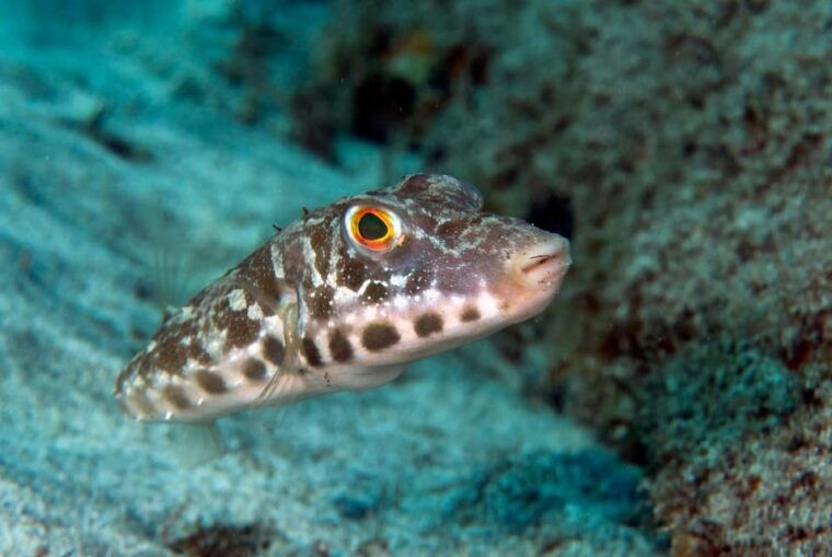 guided-snorkeling-experience-2