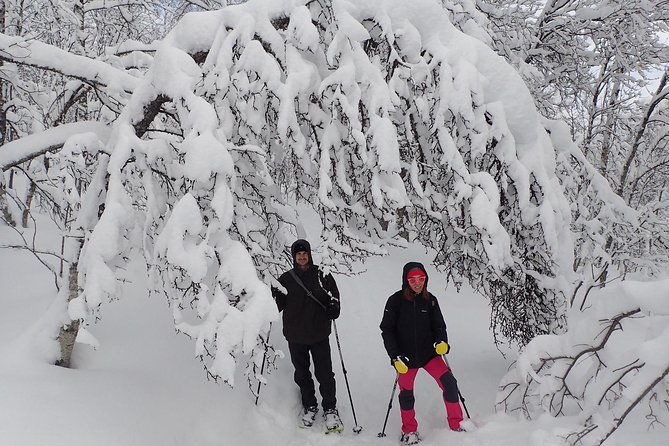guided-snowshoe-walk-on-tromsoya-island-in-tromso