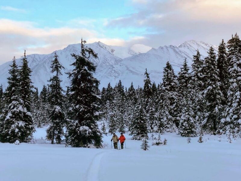 guided-snowshoeing-adventure-from-seward-alaska