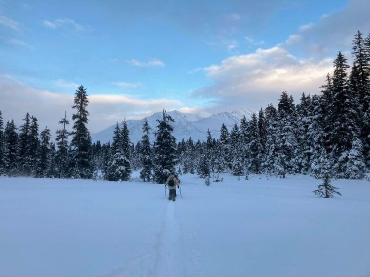 guided-snowshoeing-adventure-from-seward-alaska