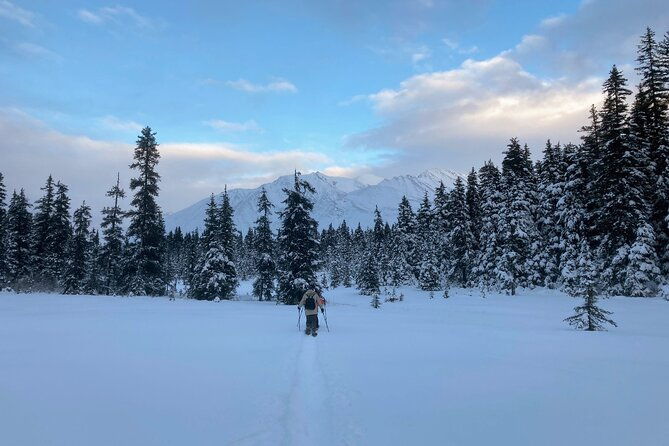 guided-snowshoeing-adventure-in-seward-alaska