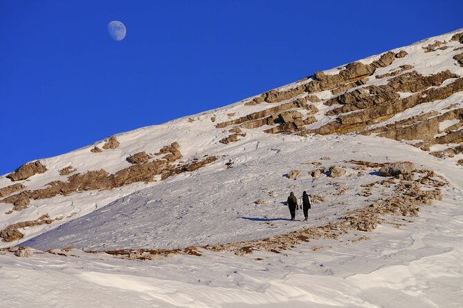 guided-snowshoeing-day-to-discover-the-dolomites