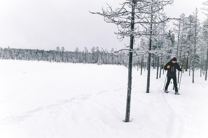 guided-snowshoeing-tour-in-pyhatunturi