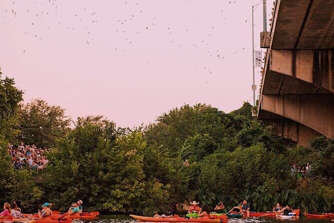 Guided Sunset Bat Kayak Tour in Austin - Authentic Review Highlights