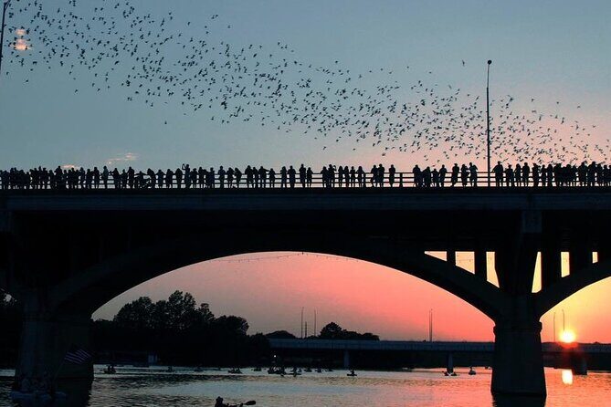 Guided Sunset Bat Kayak Tour in Austin - Final Thoughts