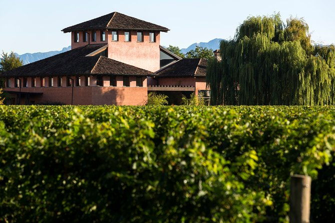 guided-tasting-with-our-team