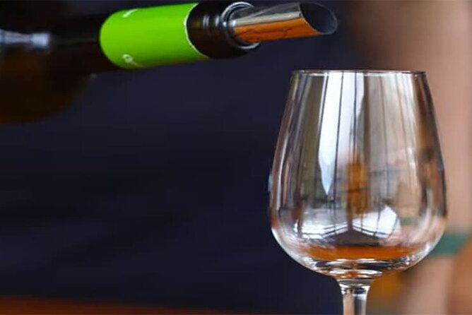 guided-toboggan-ride-and-madeira-wine-tasting-tour