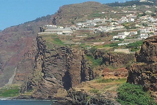 guided-toboggan-ride-and-madeira-wine-tasting-tour