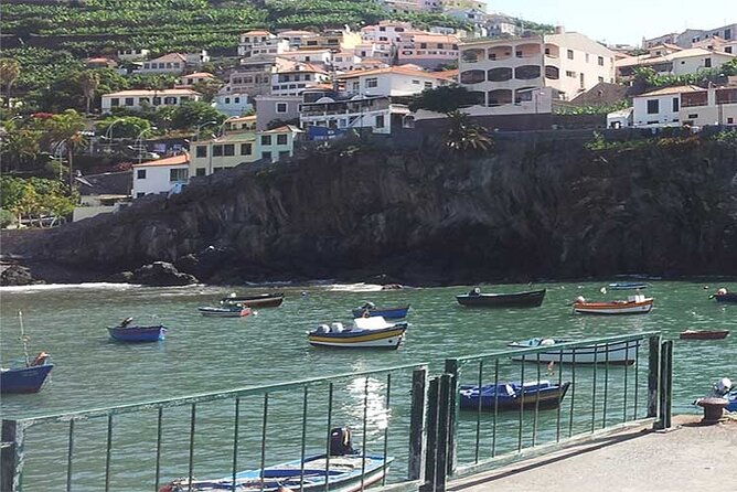 guided-toboggan-ride-and-madeira-wine-tasting-tour
