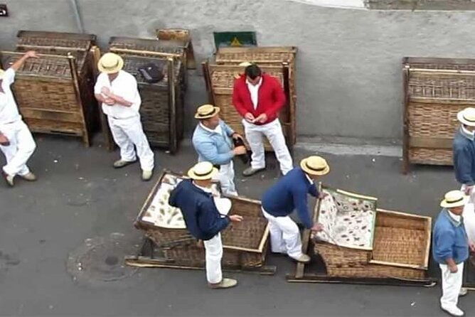 guided-toboggan-ride-and-madeira-wine-tasting-tour