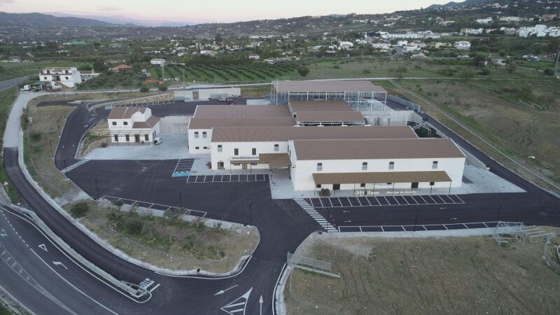 guided-tour-and-oil-tasting-at-the-aceites-molisur-factory