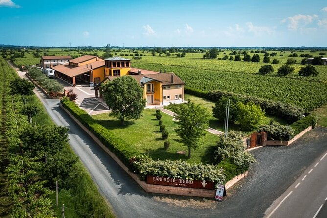 guided-tour-and-wine-tasting-in-the-sandro-de-bruno-winery
