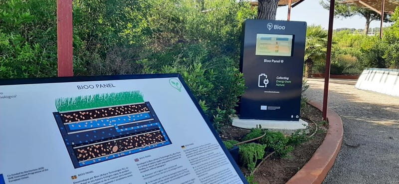 Guided Tour at BiBo Park: Ibiza's Biotech Botanical Garden - An In-Depth Look at the BiBo Park Guided Tour