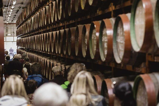 Guided Tour at Ron Arehucas Distillery - Key Points