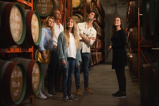 Guided Tour at Ron Arehucas Distillery - The Itinerary in Detail: What to Expect