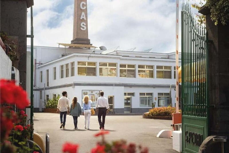 Guided Tour at Ron Arehucas Distillery - What to Expect from the Ron Arehucas Distillery Tour