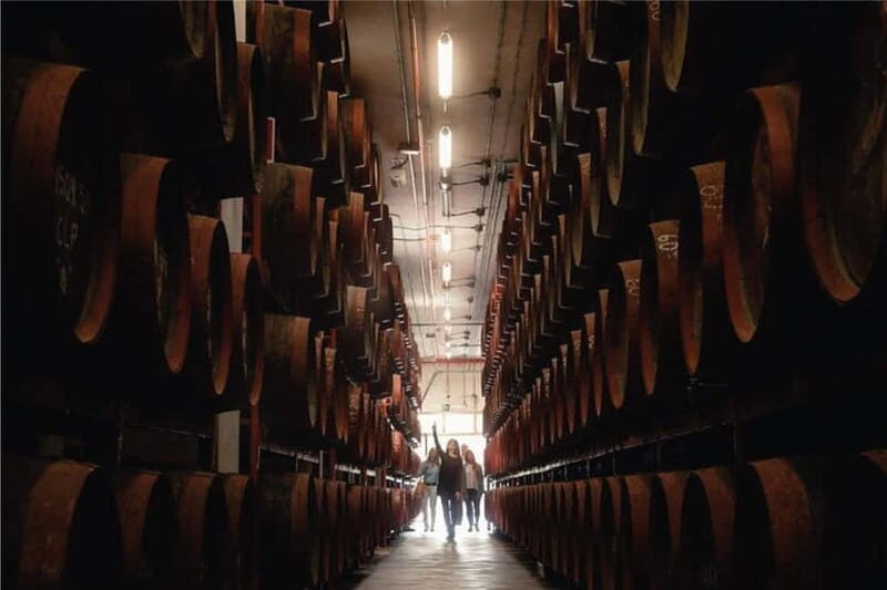 Guided Tour at Ron Arehucas Distillery - Who Should Consider This Experience?