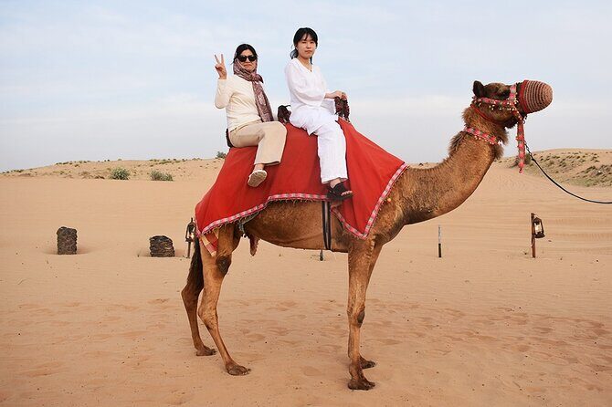 Guided Tour at Starlit Desert with Transportation - Detailed Review of the Desert Tour Experience