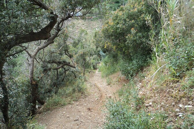 guided-tour-by-e-bike-rio-marina-mining-museum