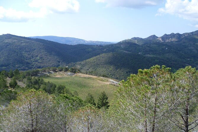 guided-tour-by-e-bike-rio-marina-mining-museum
