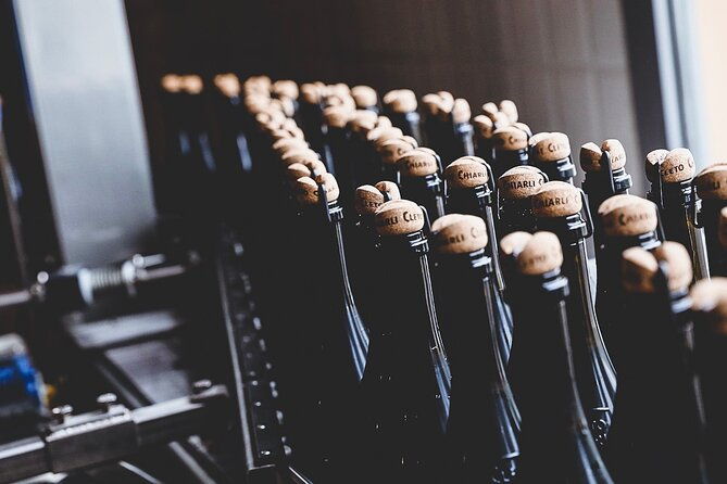 guided-tour-cleto-chiarli-with-lambrusco-tasting