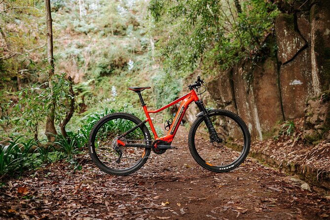 guided-tour-electric-mountain-bike-experience