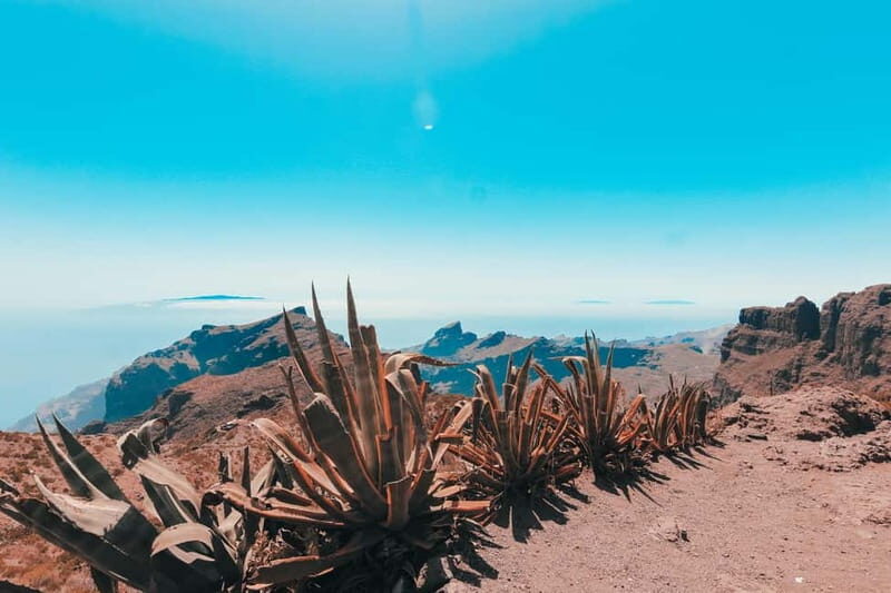Guided tour guide through Roques de Garcia - Teide National Park - What Is the Guided Tour Through Roques de Garcia?