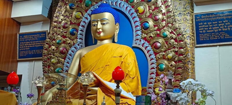 Guided Tour: Himachal Heritage - Art, Tea, Pottery & Culture - Practical Tips for a Smooth Experience