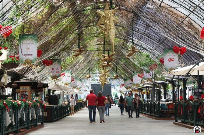 guided-tour-in-english-to-gramado-or-the-brazilian-wine-region
