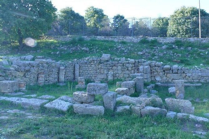guided-tour-in-morgantina-visit-morgantina