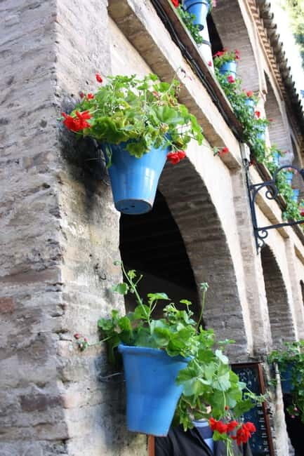 Guided tour in Spanish to the courtyards of Córdoba - Exploring Córdoba’s Courtyards: A Guided Spanish Tour